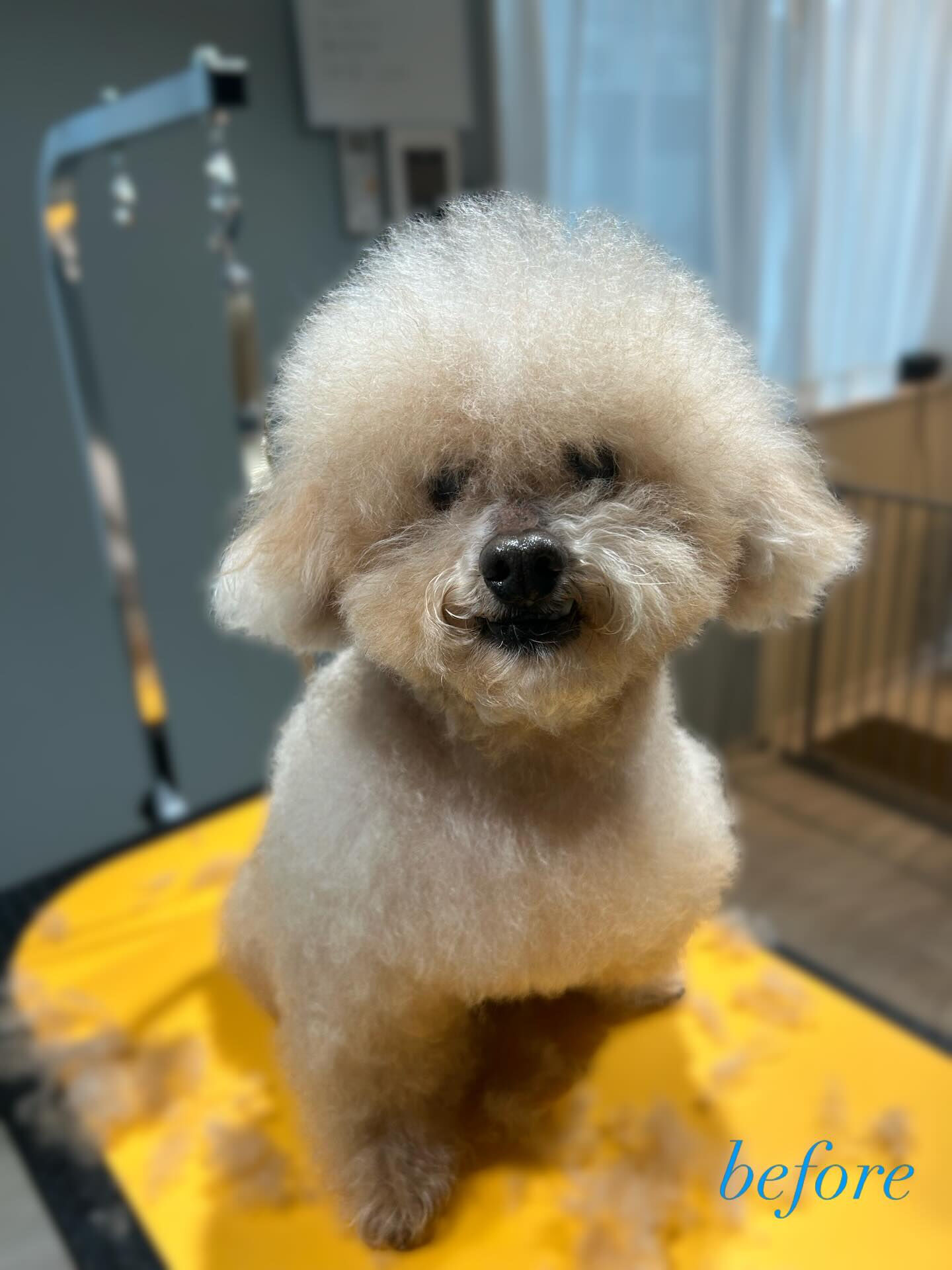 ルカルくん˚✧₊˚✧₊