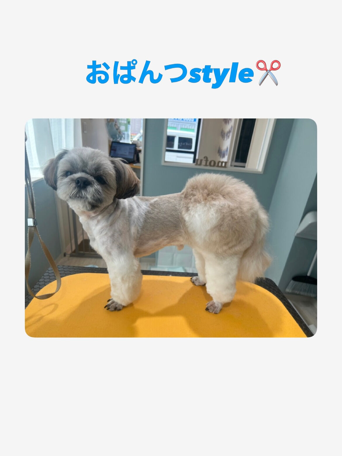 ˚✧₊しずおくん⁺˳✧༚