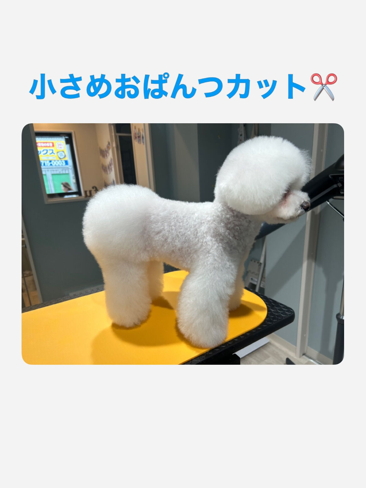 ˚✧₊フラちゃん⁺˳✧༚