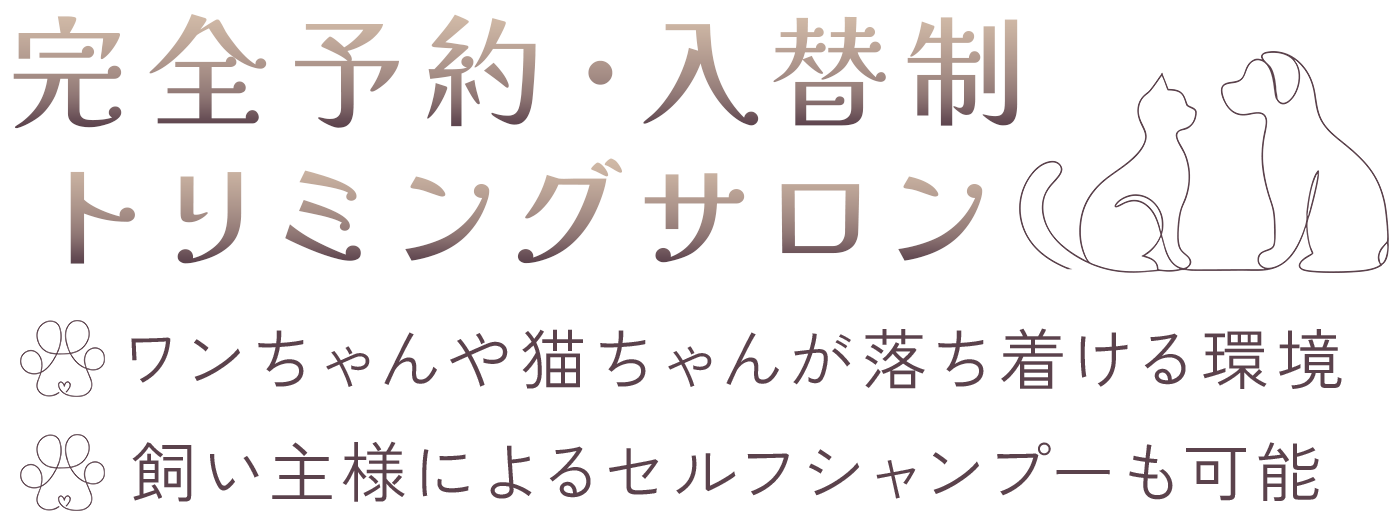 MVcatch